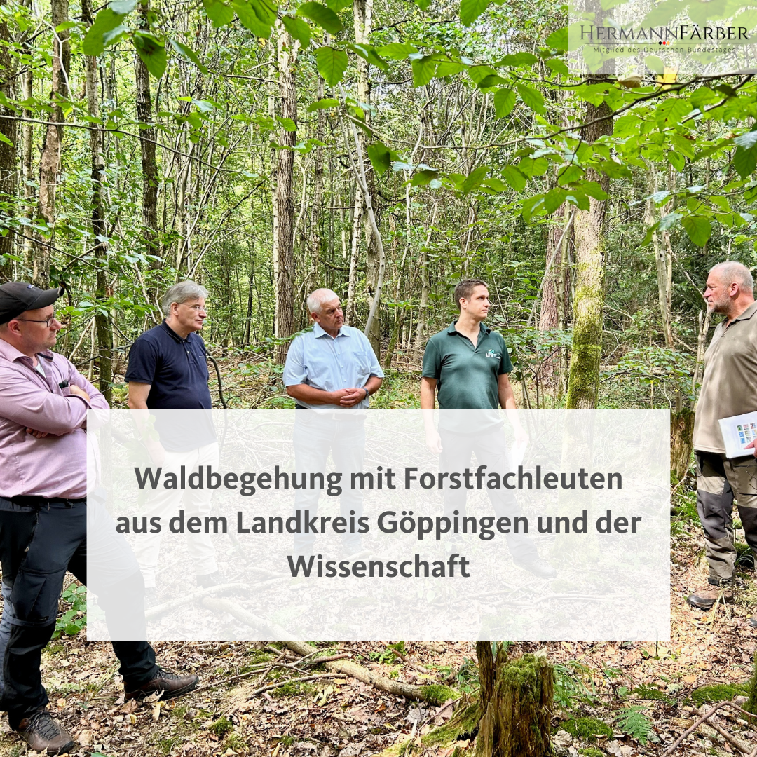 "Den Wald schützen durch Nützen" - Waldbegehung mit Forstfachleuten aus dem Landkreis Göppingen und der Wissenschaft