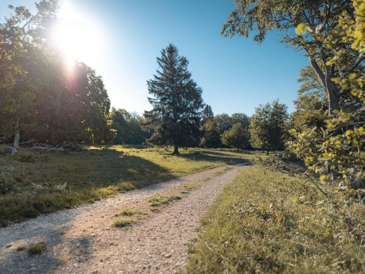 Ländlicher Raum