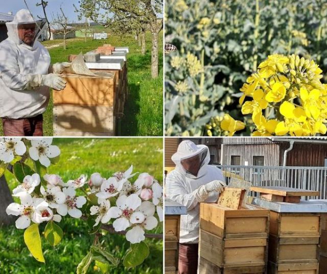 Pressemitteilung: Ohne Bienen wäre manches Supermarktregal leerer